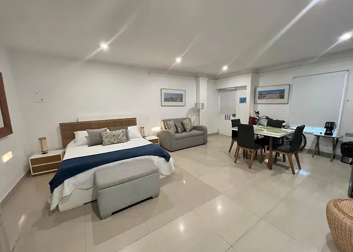 Hermoso Apto Estudio En La Ciudad Amurallada!